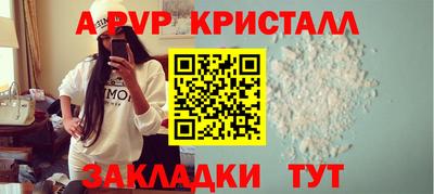 спиды Кингисепп