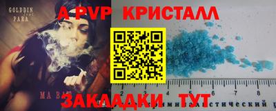 спиды Кимры