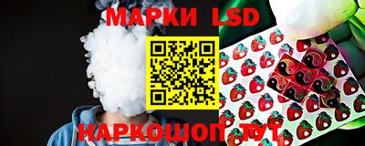 спиды Кимры