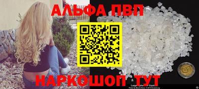 спиды Кингисепп