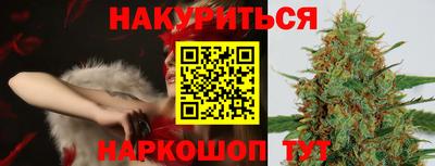 спиды Кингисепп