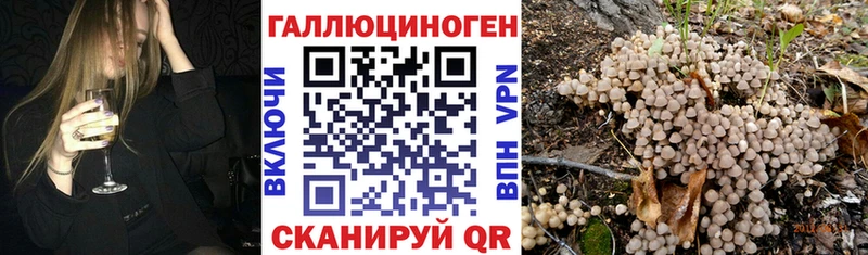 мориарти наркотические препараты  мега сайт  Учалы  Псилоцибиновые грибы Psilocybe 