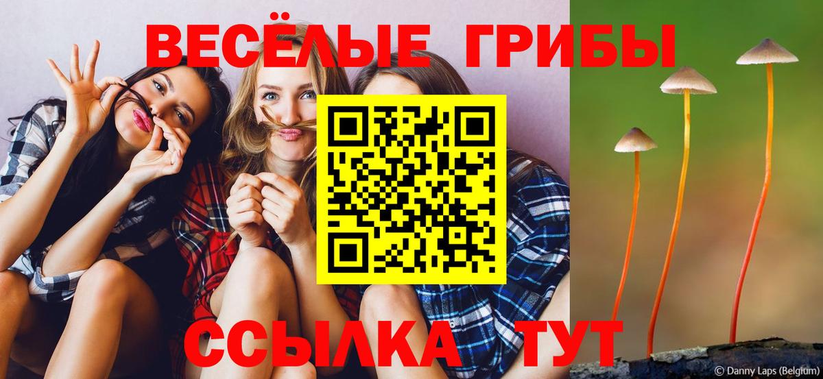 Галлюциногенные грибы ЛСД Учалы